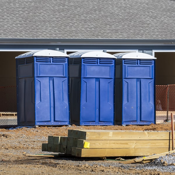 how often are the porta potties cleaned and serviced during a rental period in Linwood MN